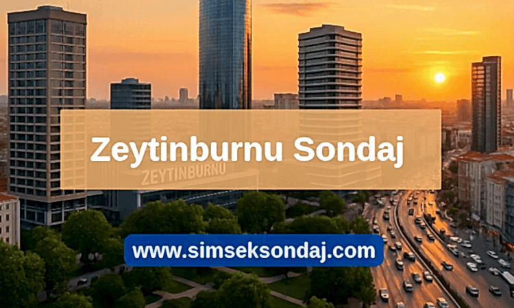 Zeytinburnu Su Sondajı